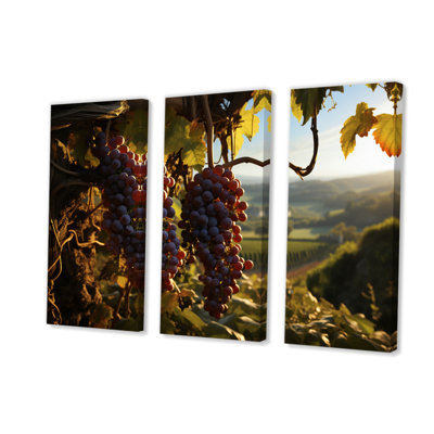 " Purple Grapes Dreamcatcher Vineyards " 3 - Pieces
