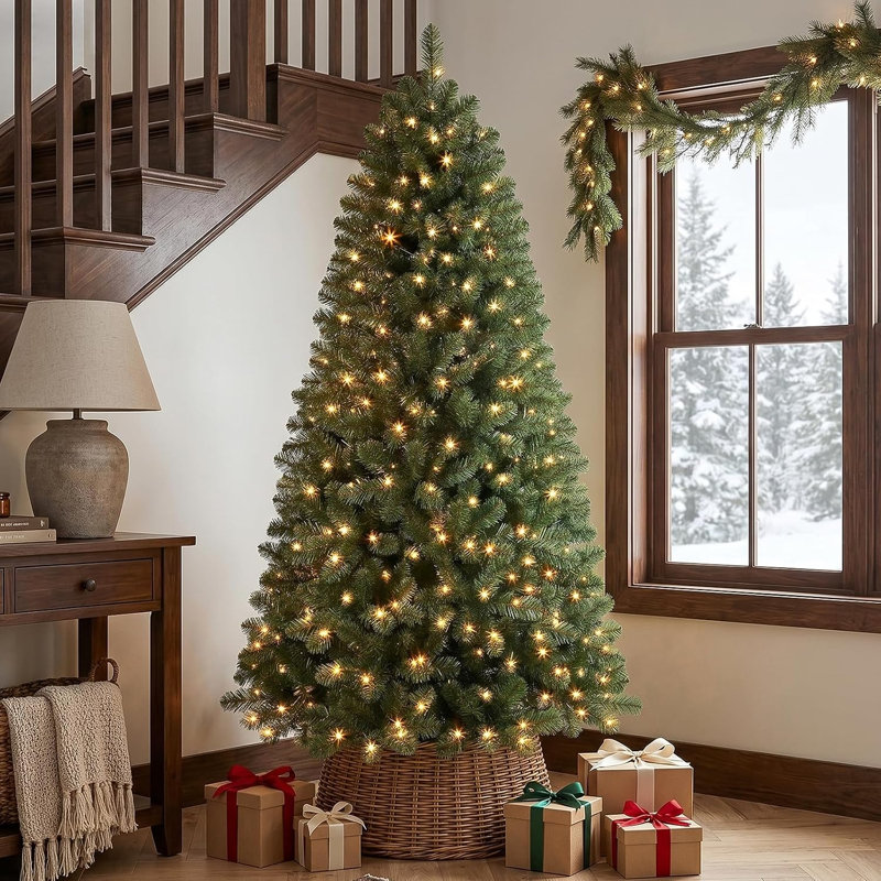 50 H Christmas Tree