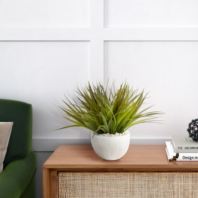 Herbe sauvage dans un bol blanc