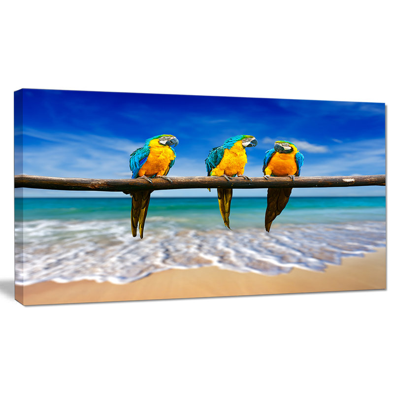 Blue and Gold Macaws Beach Scene Canvas Print, 40x20 inches