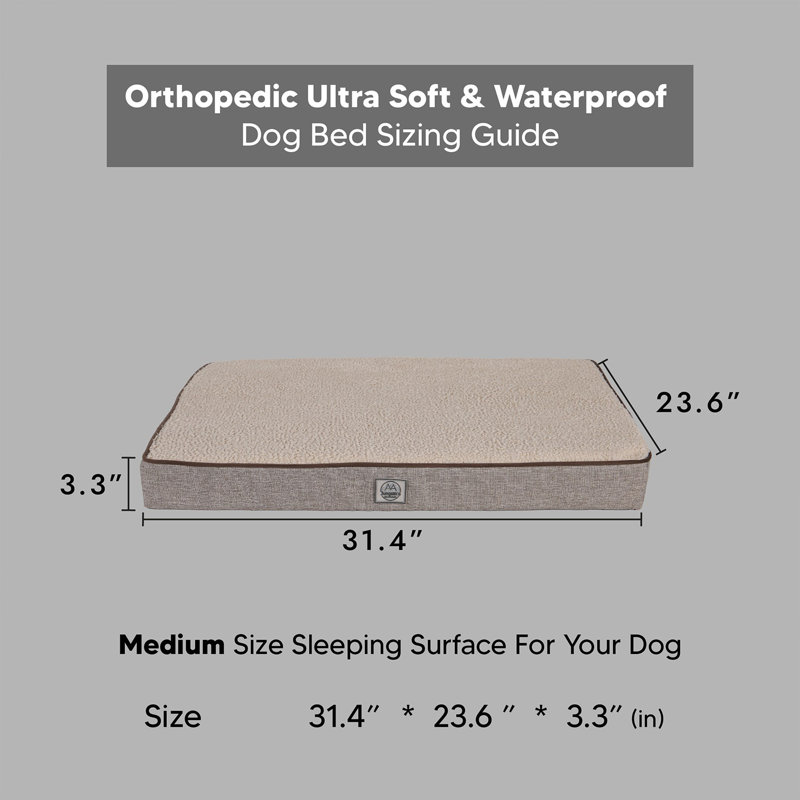 Jungolica Orthopedic Pet Bed, Beige, 80cm H x 60cm W x 8cm D