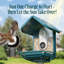 Birdbuddy Pro Solar Smart Bird Feeder With Camera & Perch Extender