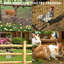 48 cm H x 100 cm W with 1 Panel(s) Included-132200725