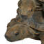 Statue famille en tortue 3 piles
