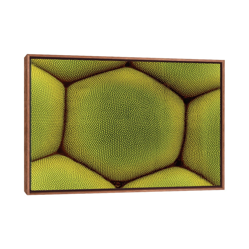 «Compound Eye of A Moth», reproduction d'art mural - toile encadrée, 26" x 18", Framed Canvas, Brown