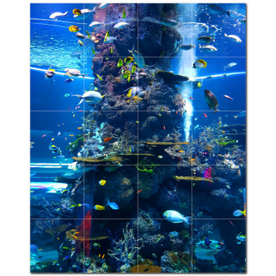 Coral Photo 12 x 12