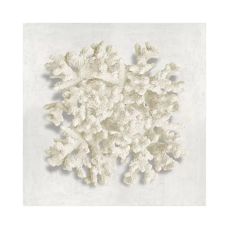 Coral II - Wrapped Canvas Print, 30.48 cm H x 30.48 cm W