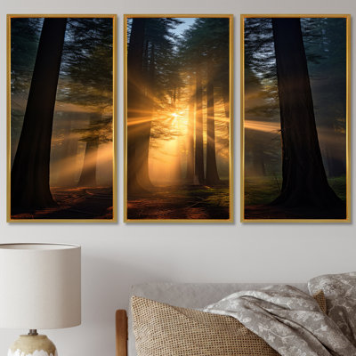 «God Rays Sunshine Through The Forest», ensemble d'art mural séquoia