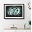 Mint Green Rose - Picture Frame Graphic Art Print-56735468-56735474
