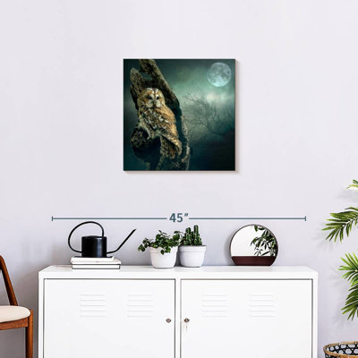 Brampt Owl At Night