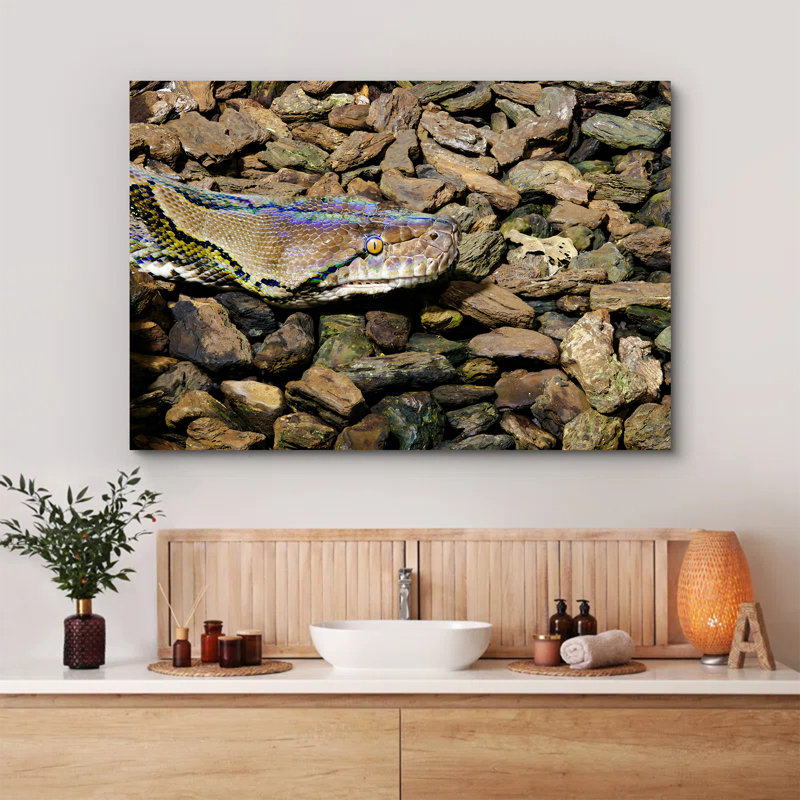 Closeup of Reticulated Python Head between Rocks and Wood Pieces, 16" H x 24" W