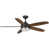 Architectural Bronze with Brown Blades selected