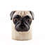 Pencil Pot - Dog - Pug Fawn