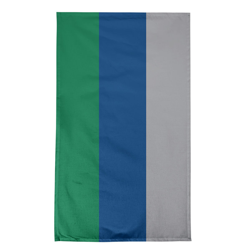 Serviette de thé hockey Anaheim, Vert / bleu / gris froid, Polyester sergé