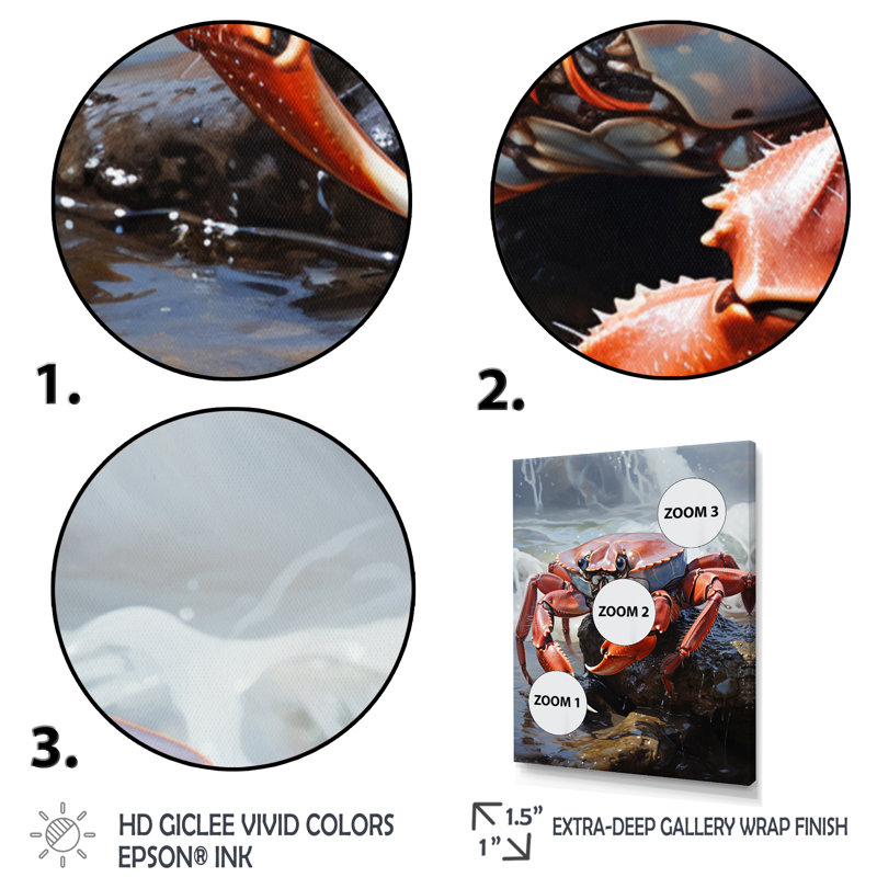 «Wystand Crab Coastal Sentry», reproduction sur toile, Cadre photo noir, H 20 po x l 12 po