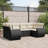 Vidaxl Garden Sofa Set Black PE Rattan Large Modular Garden Sofa Set