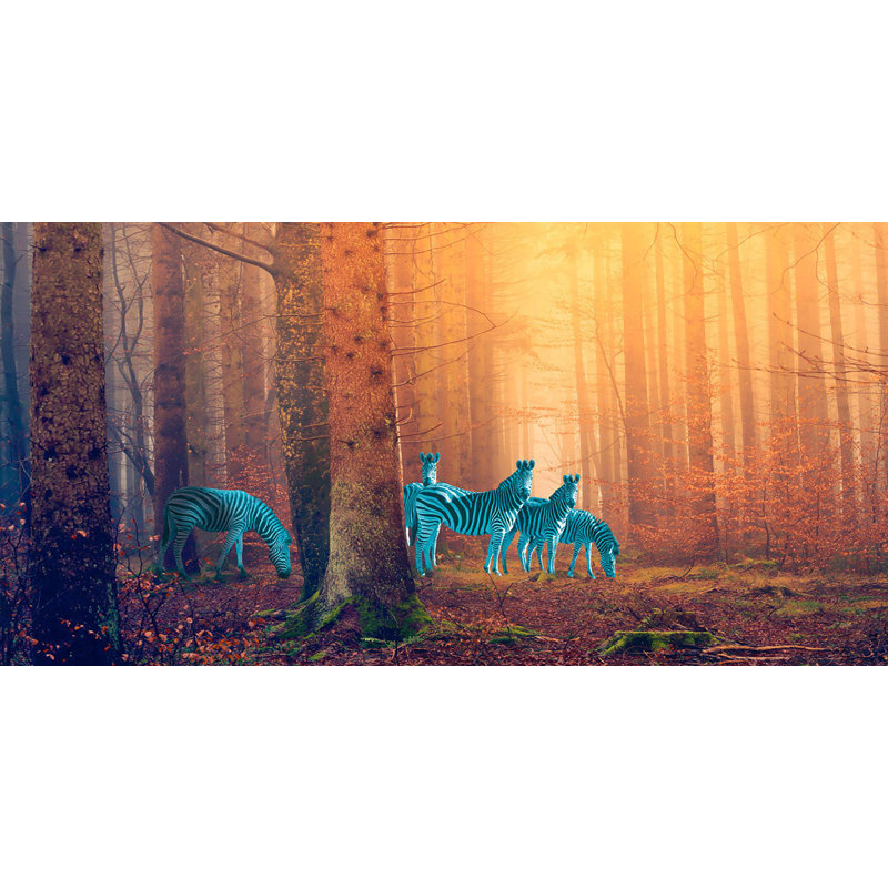 In the Woods 1 Piece Wrapped Canvas Wall Art, 60cm H x 120cm W