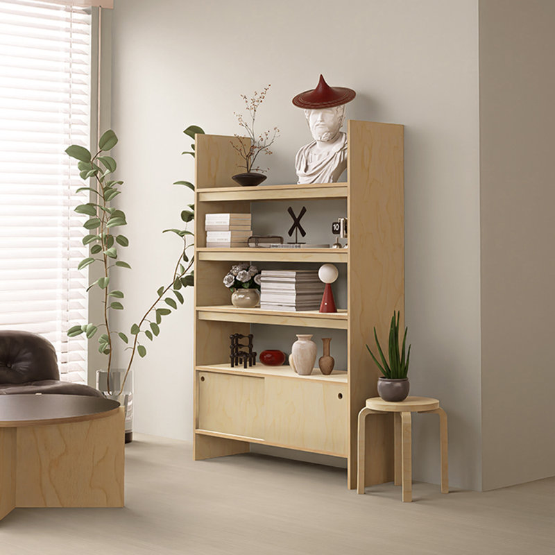 Modern minimalist bookcase