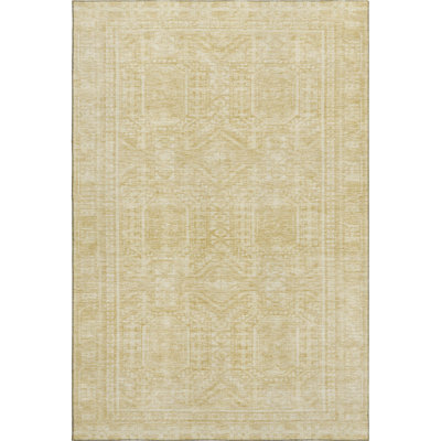 Premium Machine Washable Ashlynn Border Rug