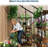 4x4FT Lean to Greenhouse Kit, Polycarbonate Walk-in, Aluminum-Steel Frame, Sliding Door, Roof Vent-125296681-125296683