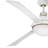 Cascade 62'' Ceiling Fan with LED Lights-449611355