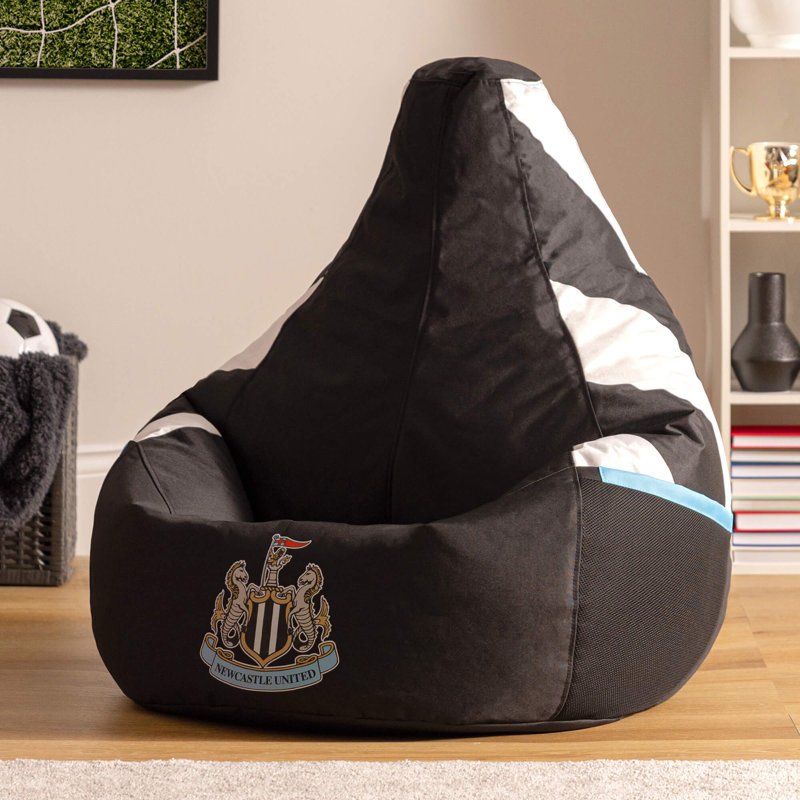Gaming Bean Bag Chair