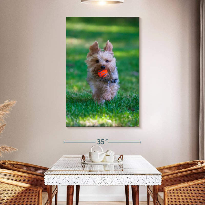 Playful Yorkie, 36" H x 24" W