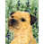 Border Terrier