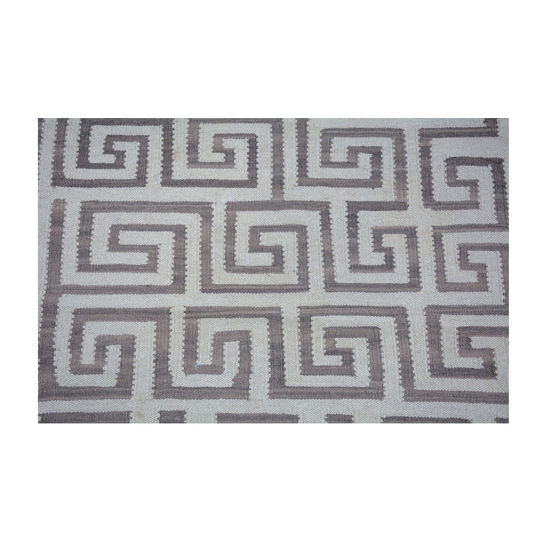 Cameika Hand Woven Grey Indoor Rug
