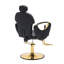 Fauteuil de salon moderne pour salon de coiffure-1553100033-1553100060