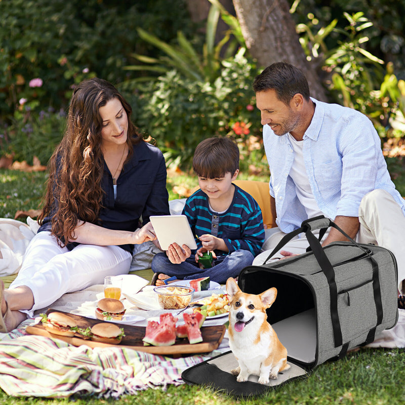 Foldable Pet Stroller