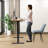 Lamin Adjustable Height Steel Standing Desk-102907651