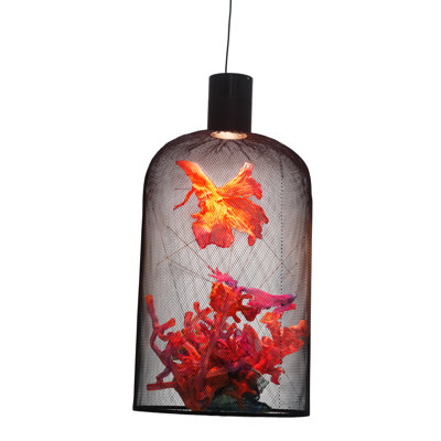 Curio 1 - Light Pendant