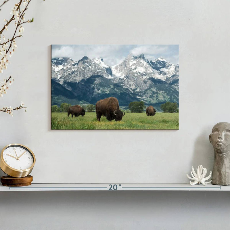 Grand Teton American Buffalo Herd sur toile, H 8 po x l 12 po x P 1 po
