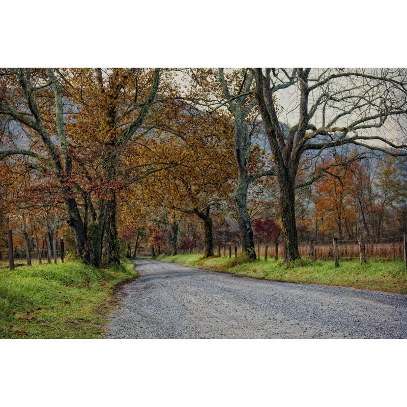 Morning On Sparks Lane I - Wrapped Canvas Print, 30cm H x 46cm W