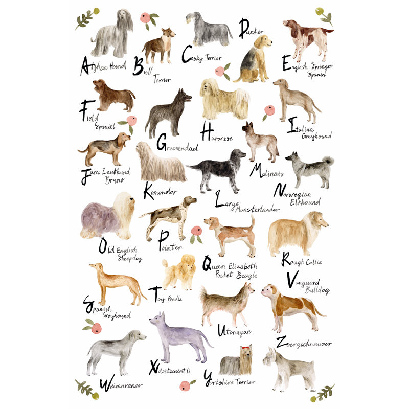 Dog Alphabet by Melissa Wang - Painting, Black Floater Framed, 46cm H x 30cm W