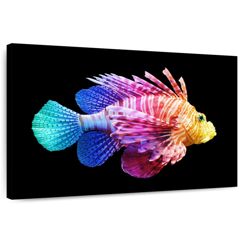 Brampt Rainbow Lionfish, 20" H x 30" W