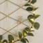 LED Holiday Lighting