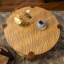 Table basse ronde en bois massif pour le salon, table basse ronde à 2 niveaux avec tablette de rangement, table basse moderne Mid-Century, espace restreint pour la maison, assemblage facile