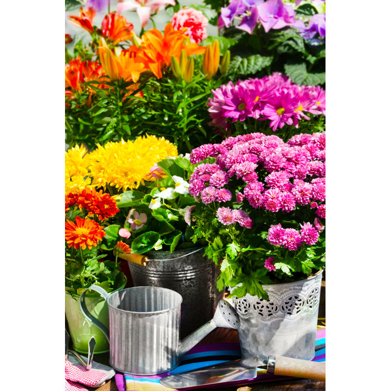 Variety Of Flowers by Santje09 - Wrapped Canvas Print, 46cm H x 30cm W