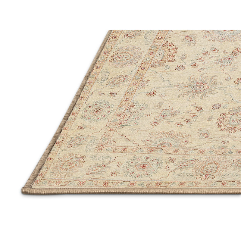Catiţia Oriental Indoor Rug, Rectangle 2' x 3'