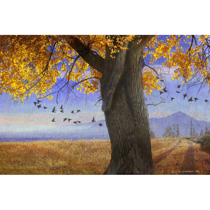 Yellow Cottonwood - Wrapped Canvas Painting, 30cm H x 46cm W x 3.8cm D