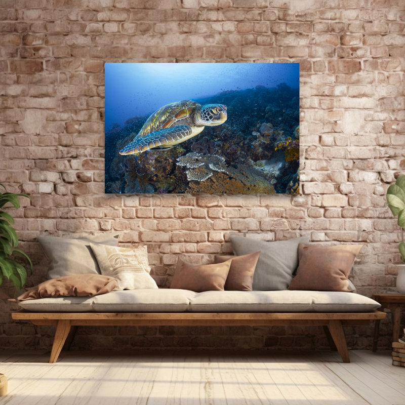 Green Sea Turtle Reef Vibrant Turtle Nature Ocean Wall Art Print 1 Piece Wrapped Canvas Wall Art, 101.6cm H x 152.4cm W