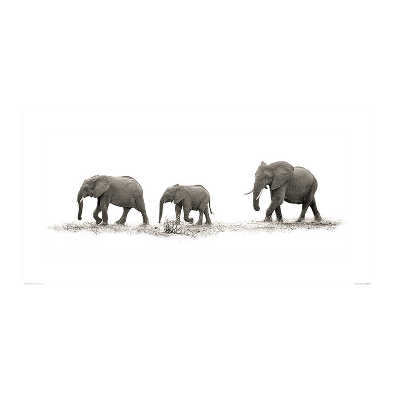 Mario Moreno - Print