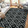 Peyden Moroccan Indoor Rug