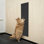 Cat Scratch Board Wall Sticker Polyester Anti-Scratch And Wear-Resistant Wall Protector Adhesive Cat Playground Home Scratch-Resistant Decorative Sticker