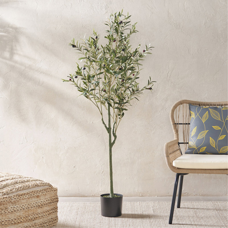 Olive artificielle, 59 po x 23 po