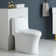 1.1/1.6 GPF Dual-Flush Elongated One-Piece Toilet with 17.32" ADA Comfort Seat Height, Ceramic Glazed Surface(Soft Close Seat Included), 3 Colors