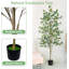 Faux arbre eucalyptus 6 pi