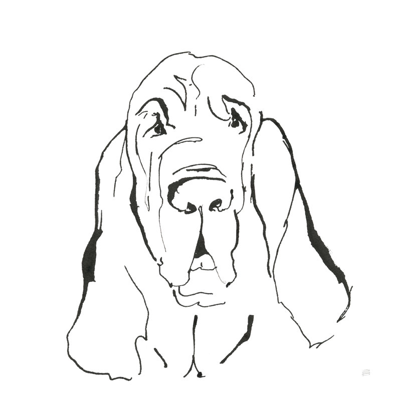 «Line Dog Bloodhound I» par Chris Paschke, reproduction sur toile tendue, H 12 po x l 12 po